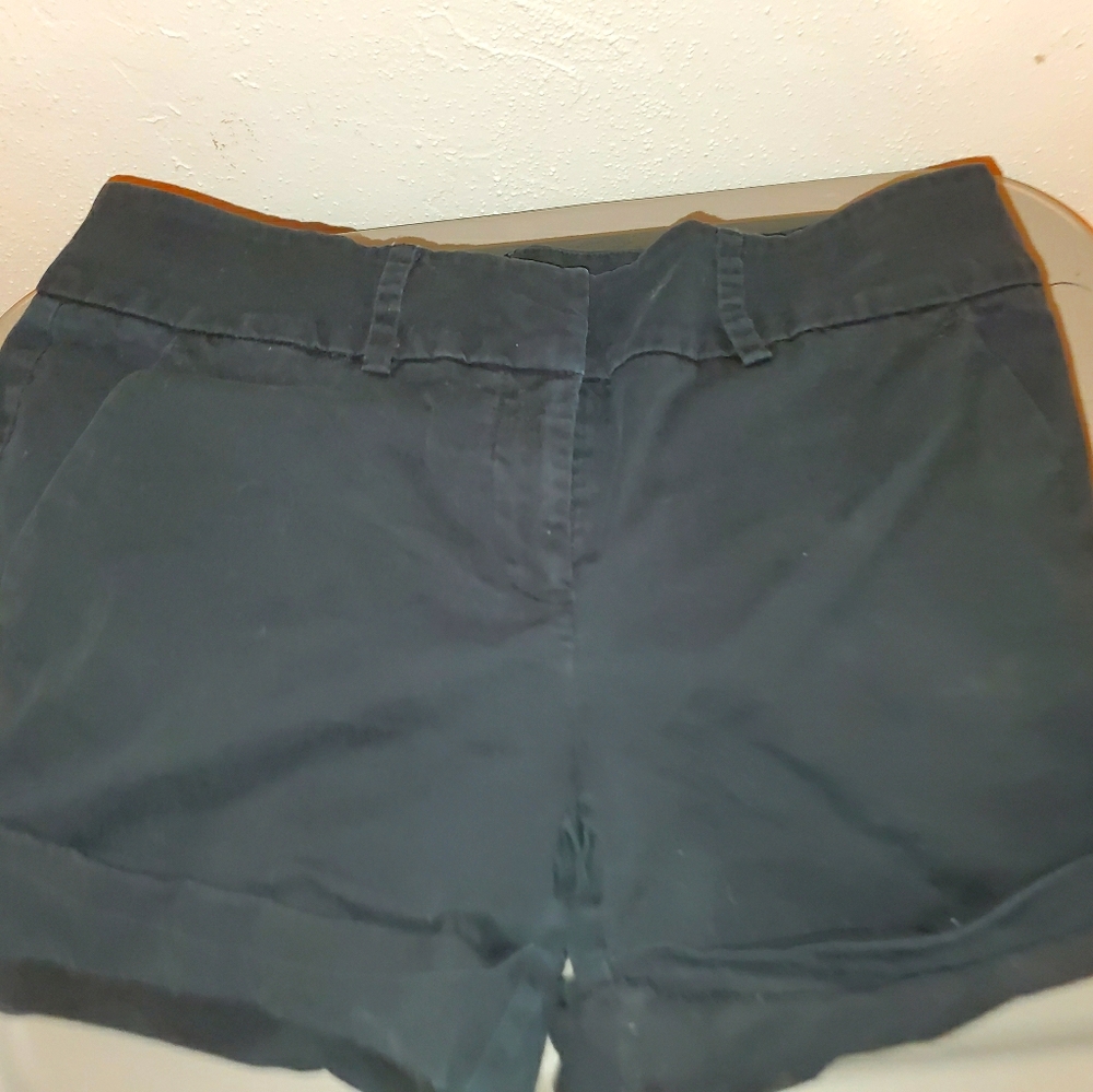 New york and company shorts